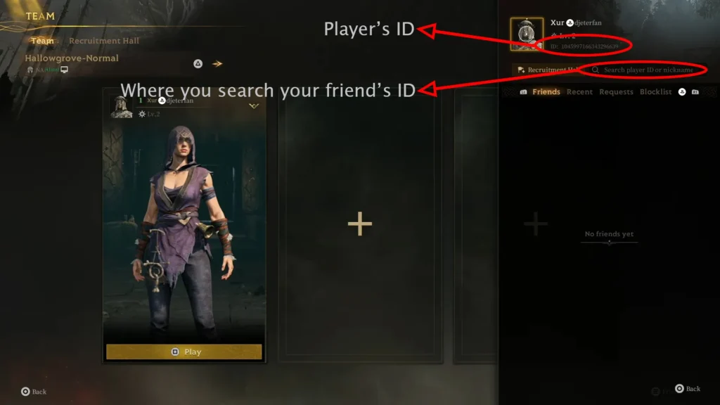 Player's ID in Mistfall Hunter