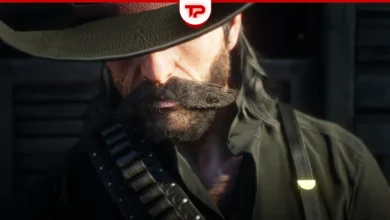 RDR2 Health