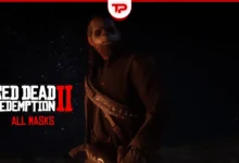 RDR2 Mask Locations Guide