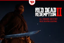 RDR2 Tomahawk and Other Melee Weapon Locations Guide
