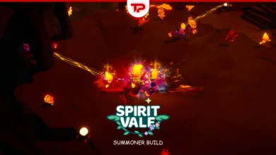 SpiritVale Summoner Build Guide (1)