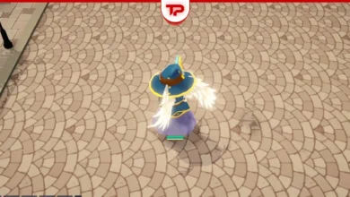 SpiritVale Wizard Build