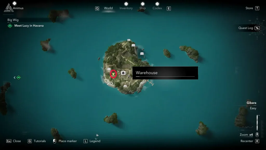 Player location in Black island