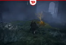 Ainsel River Golden Seed Locations