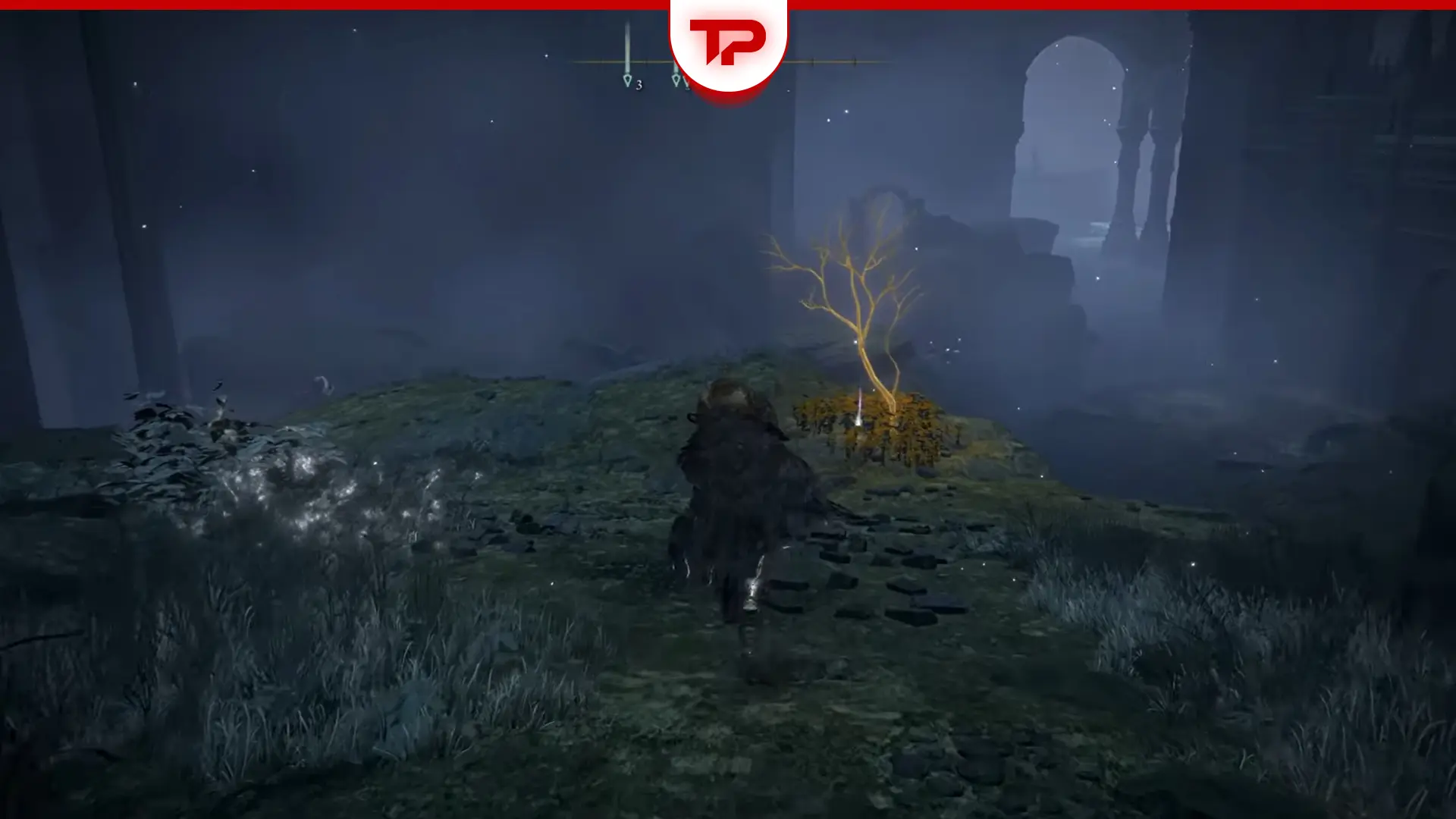 Ainsel River Golden Seed Locations