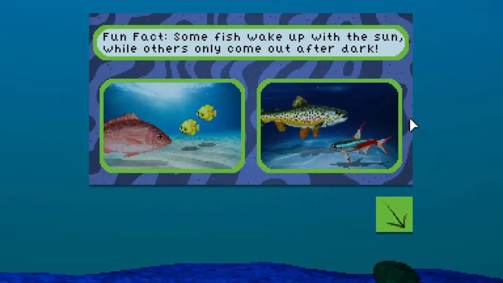 All 18 Endacopia Fish by Time of Day