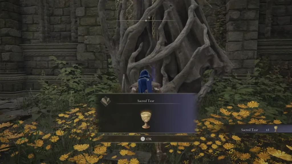 Bellum Church Sacred Tear Walkthrough