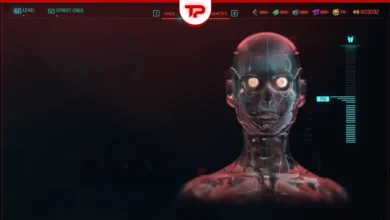 Cyberpunk 2077 Face Cyberware