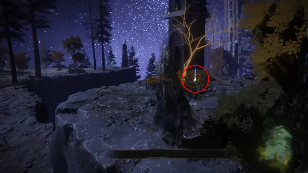 Finding Siofra River Golden Seed - Step 3