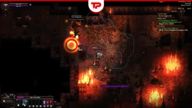 Hero Siege Hunger Issue