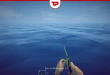 How to Fish Game Bait