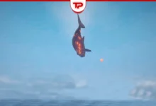 How to Fish Game Final Boss