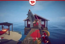How to Fish Game Money