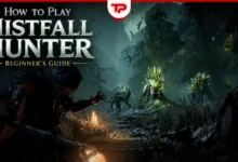 How to Play Mistfall Hunter