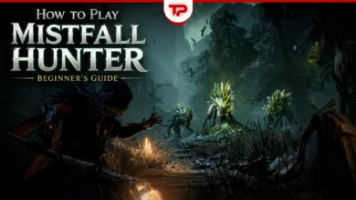 How to Play Mistfall Hunter