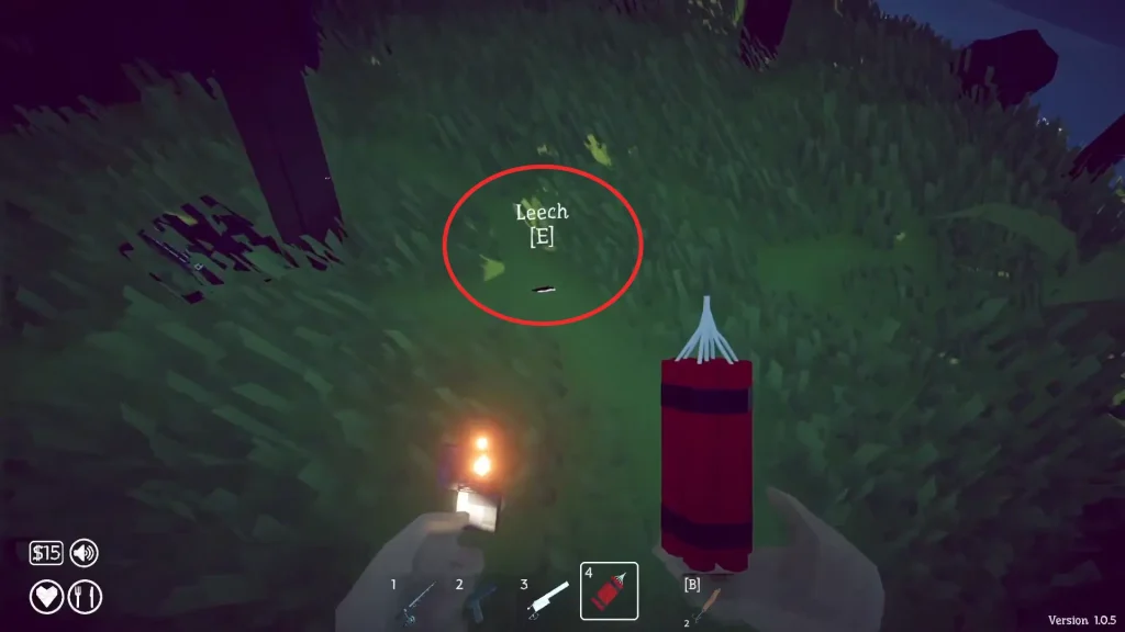 Leech bait in How to Fish