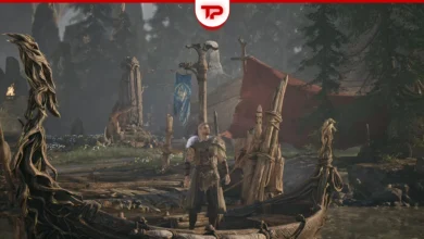 Mistfall Hunter Max Level