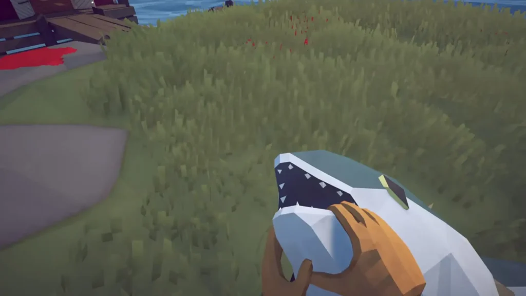 Put Tuna on the grass