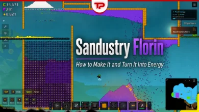 Sandustry Florin