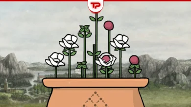 Servant of the Lake Flower Puzzle