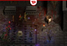 Shadow Dungeon Guide