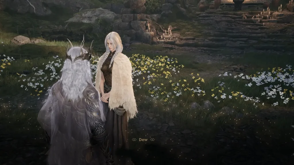 Talking with Dew
