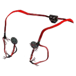 Visual Cortex Support