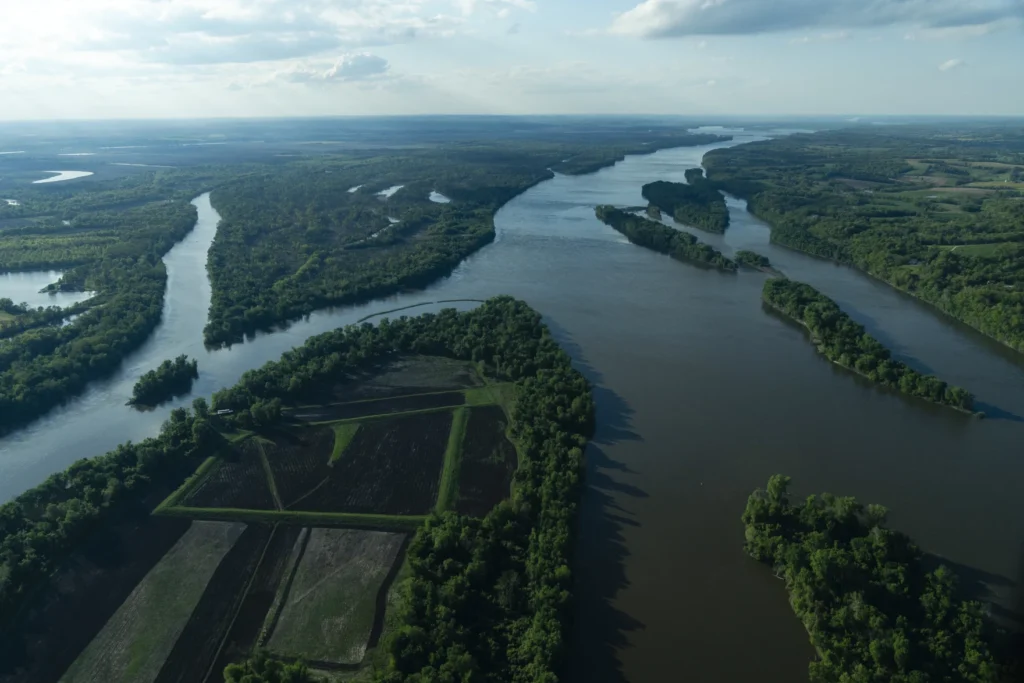 rdr2 Mississippi River