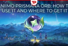 Aniimo Prismana Orb How to Use It and Where to Get It