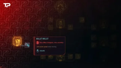 Ballet bullet perk