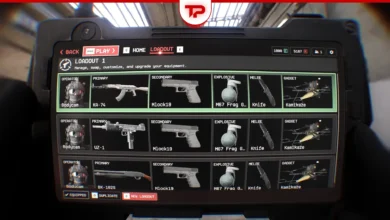 Bodycam Best Gun