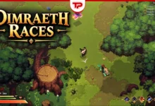 Dimraeth Races