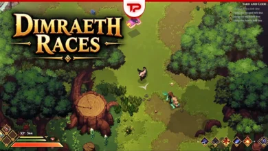 Dimraeth Races