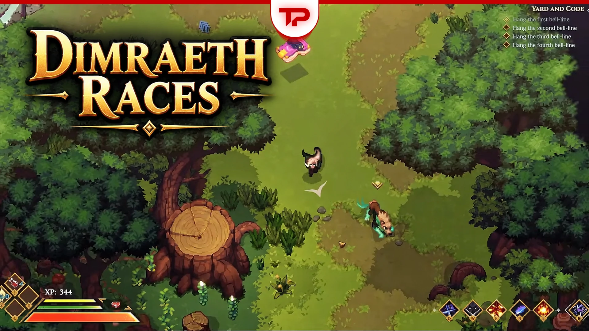 Dimraeth Races