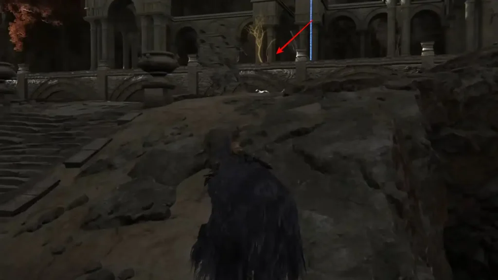 Dragon Temple Lift Golden Seed Location