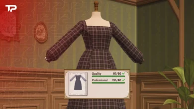 Dressmaker Quality Guide How to Hit 100% and Fix a Stuck Score