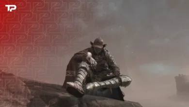 Elden Ring Armor With Capes