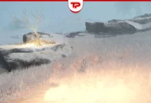 Elden Ring Consecrated Snowfield Golden Seed Locations