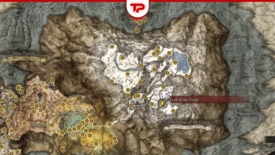 Elden Ring Mountaintops of the Giants Golden Seed Locations