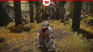 Elden Ring Second Church of Marika Sacred Tear Location