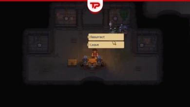 Graveyard Keeper 2 Zombies How They Work