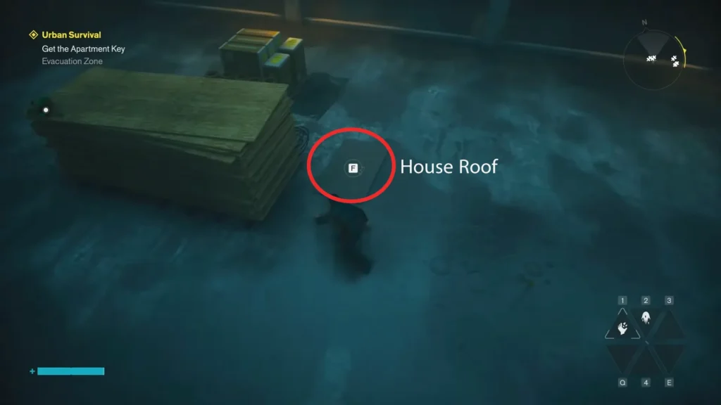 House roof dream house