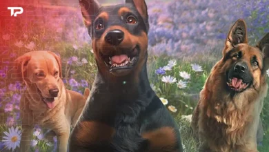 Once Human Dog Deviant