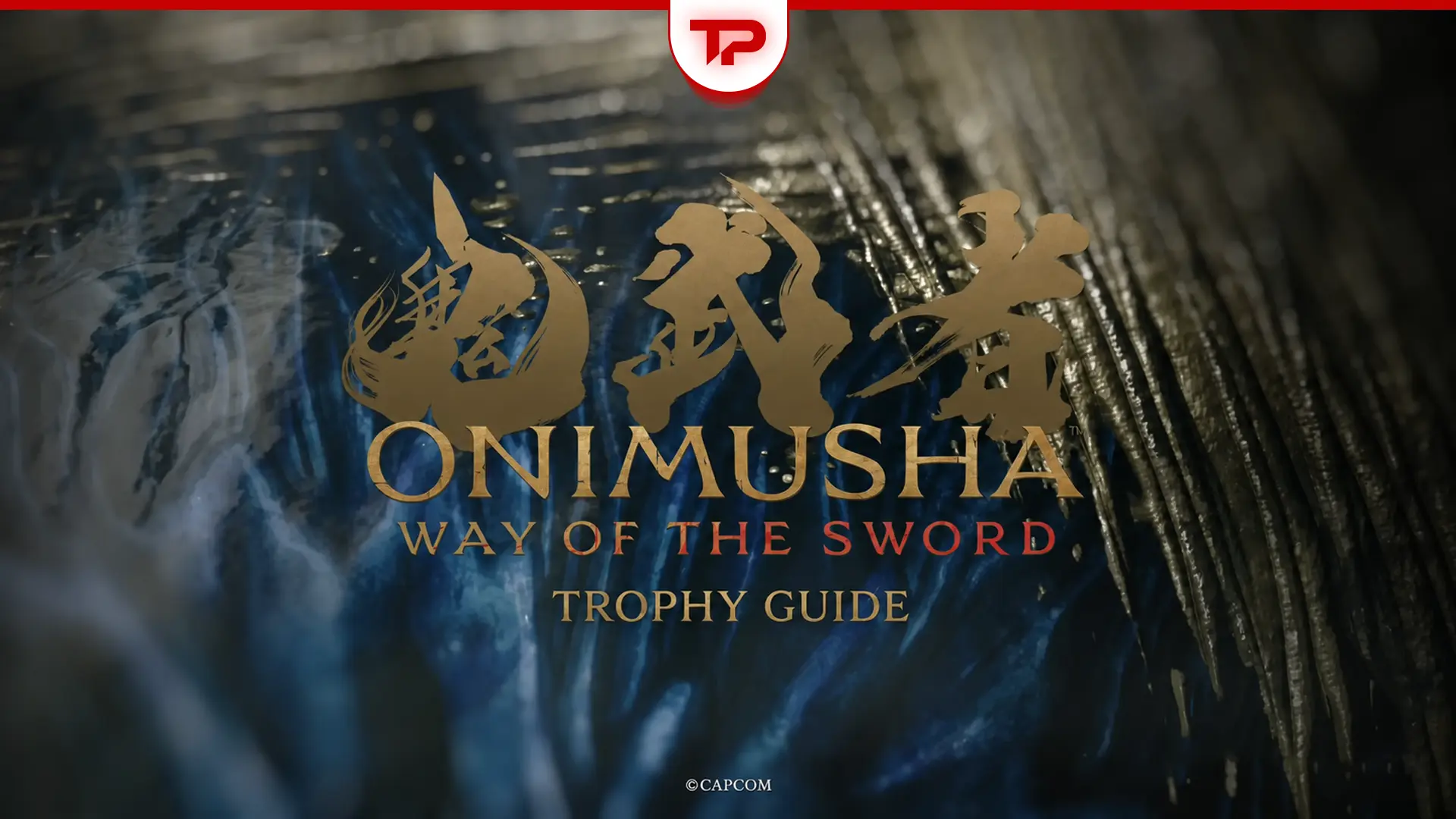 Onimusha Way of the Sword Trophy Guide
