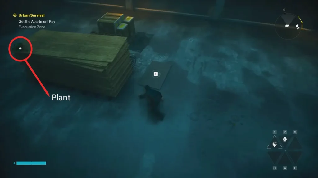Plant in dream house puzzle