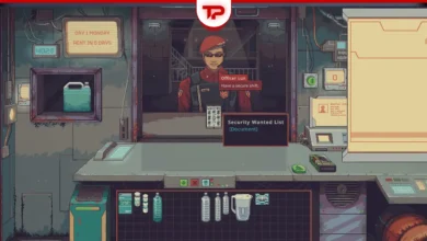 Probably Stolen Guide