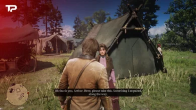 RDR2 Mary-Beth Fountain Pen How to Find the Request Item