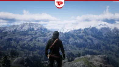 RDR2 States in Real Life What Each State Is Based On