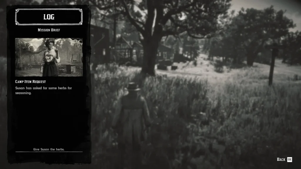 RDR2 Susan Grimshaw camp item request for seasoning herbs