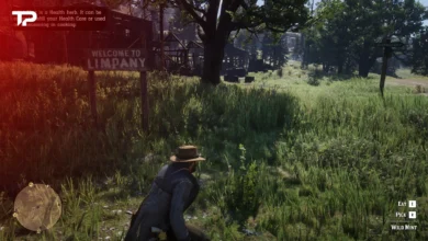 RDR2 Susan Herbs Request